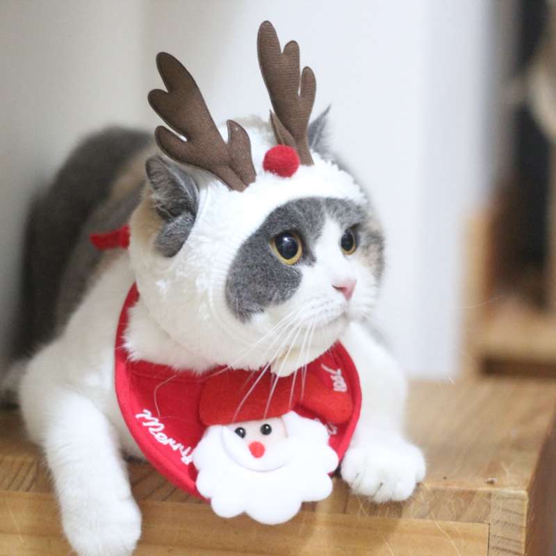 猫服  コスプレ | クリスマス猫コスチュームセット