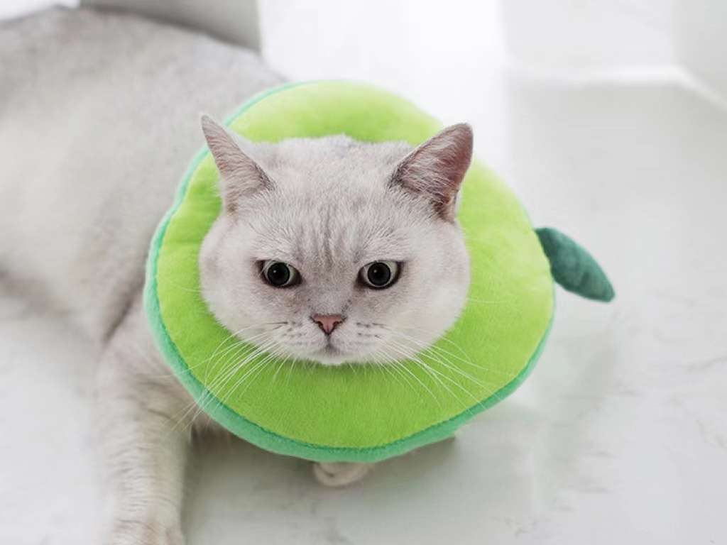 猫服 猫 エリザベスカラー | かわいい動物型メッシュエリザベスカラー