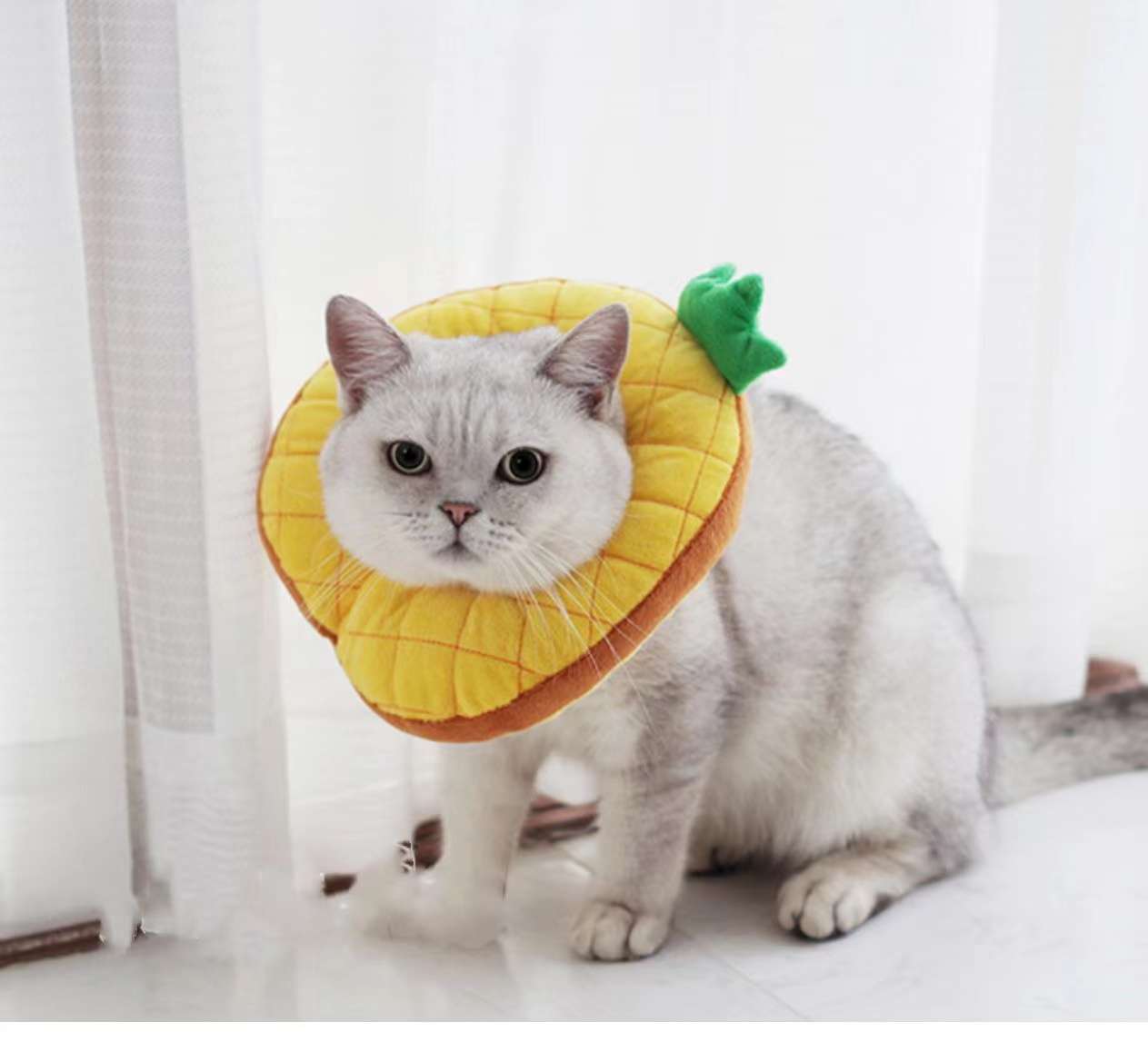 猫服 猫 エリザベスカラー | かわいい動物型メッシュエリザベスカラー