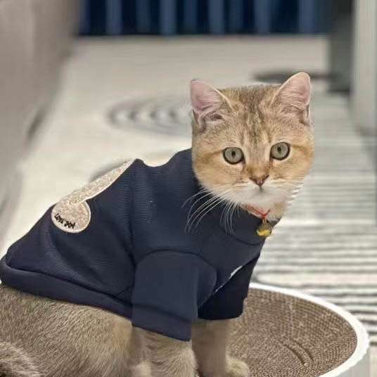 猫服 くま刺繍入りニット長袖猫用防寒着
