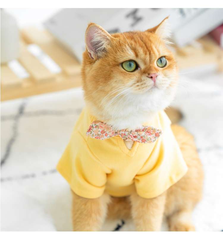 猫服 防寒服 | ふわもこ猫ちゃんのおしゃれセーター