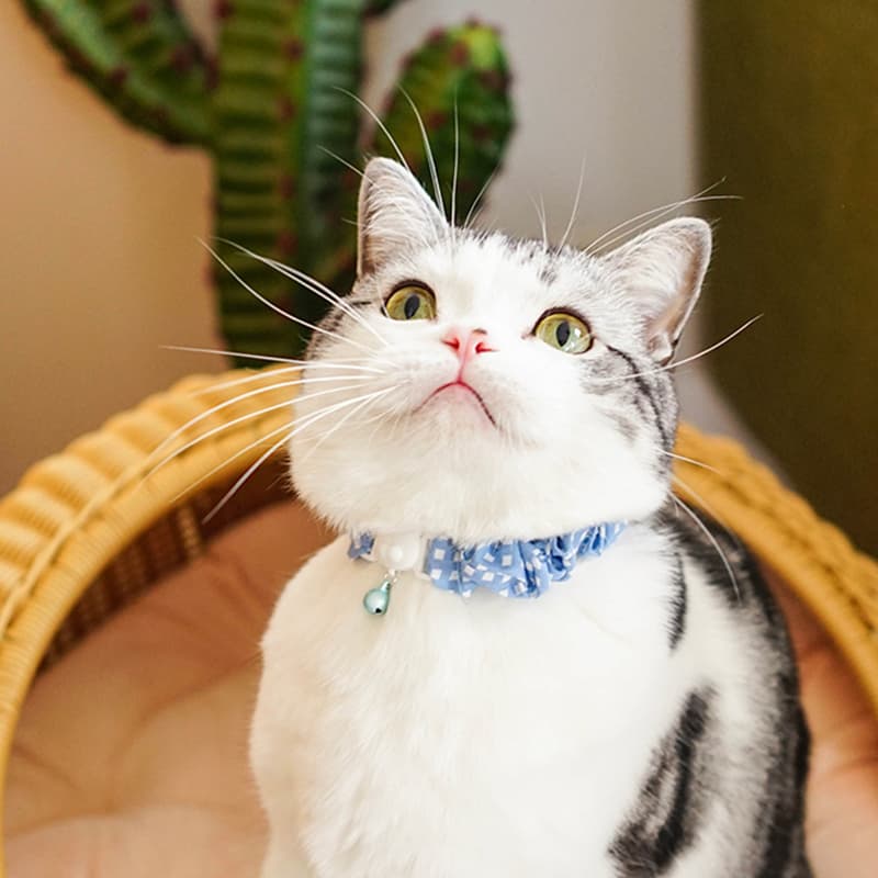 猫服 ふんわり優雅な小花柄首輪