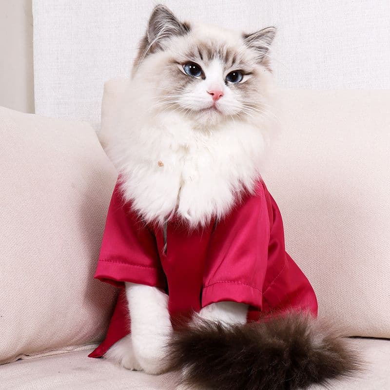 猫服 ふんわりきもち猫用パーカー