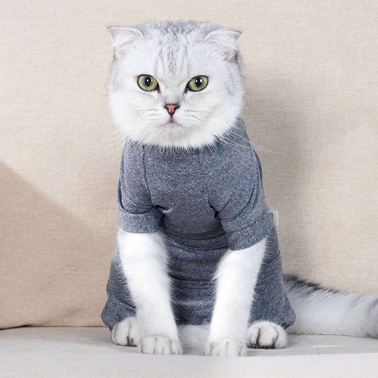 猫服 術後服 | もふもふ猫ちゃんの術後安心ウェア