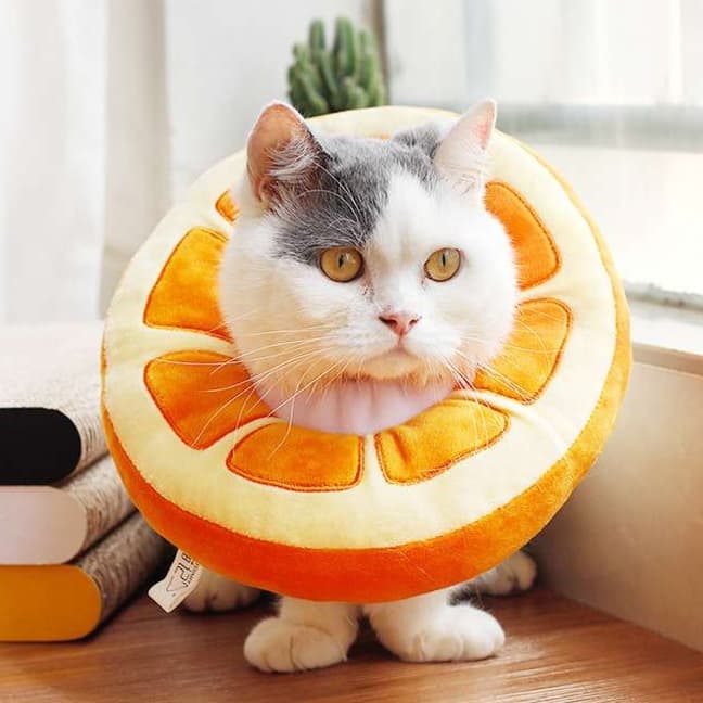 猫服 猫 エリザベスカラー | フルーツ猫カラー 癒しのトロピカルコレクション