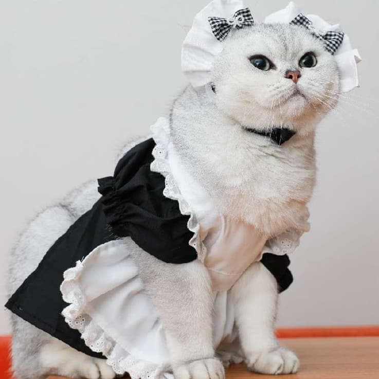 猫服 コスプレ | メイド風フリルワンピース