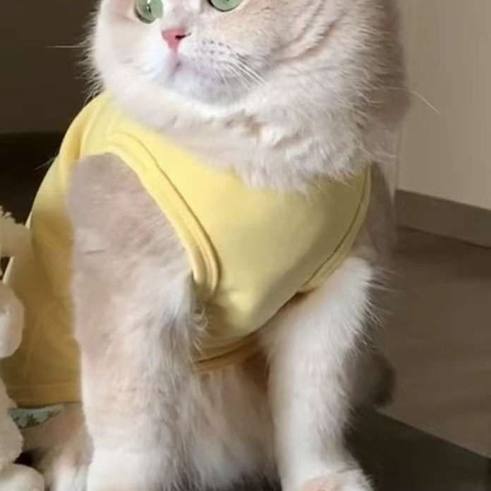 猫服 防寒服 | ふわもこキャットウォーマー