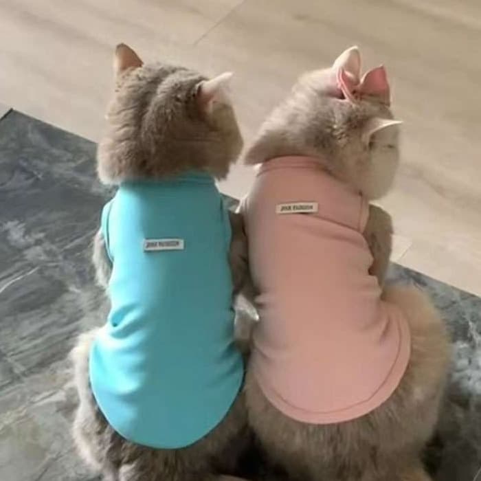 猫服 防寒服 | ふわもこキャットウォーマー