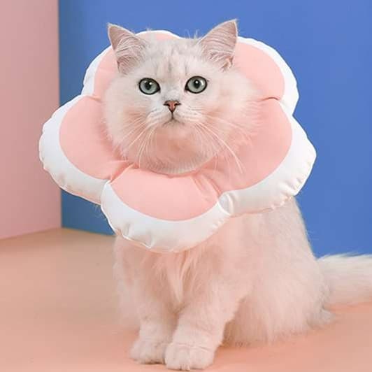 猫服 猫 エリザベスカラー | お花型ふわもこエリザベスカラー