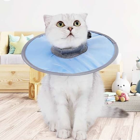 猫服 猫 エリザベスカラー | もふもふ猫さま用やすらぎカラー