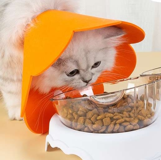 猫服 猫 エリザベスカラー | ふわふわ花びらの首輪