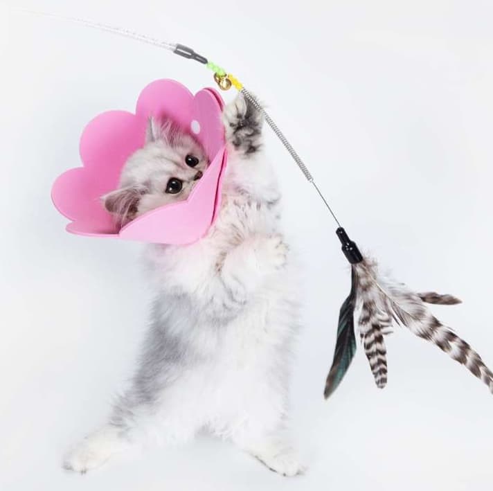 猫服 猫 エリザベスカラー | ふわふわ花びらの首輪