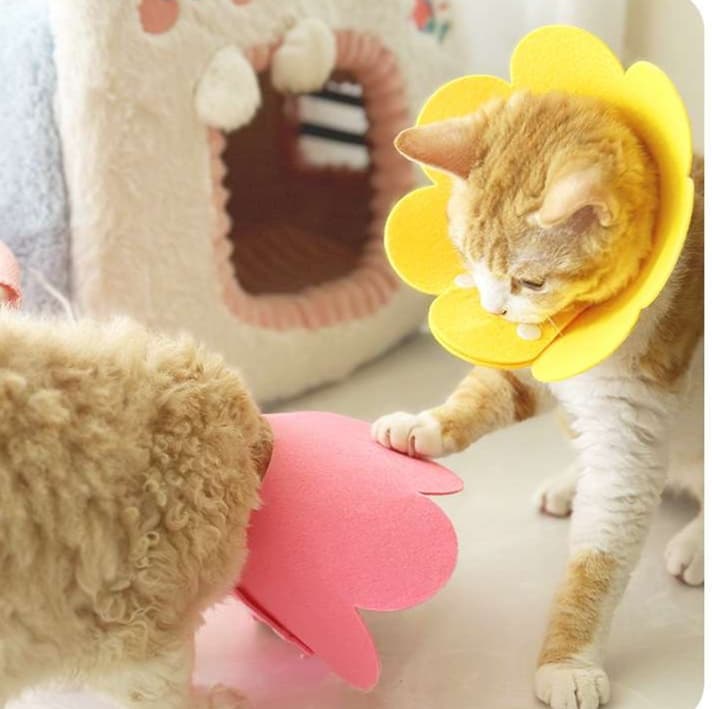 猫服 猫 エリザベスカラー | お花の首輪 ペット用かわいい装飾具
