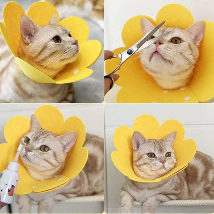 猫服 猫 エリザベスカラー | お花の首輪 ペット用かわいい装飾具
