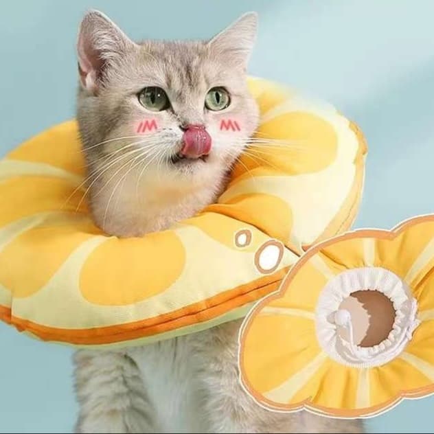 猫服 猫 エリザベスカラー | ぷかぷか寛ぎエリザベスカラー