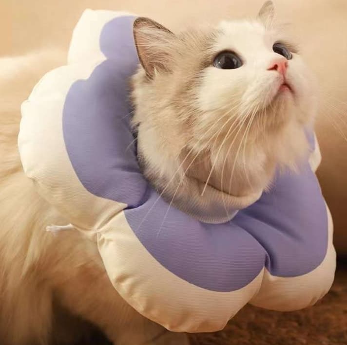 猫服 猫 エリザベスカラー | ぷかぷか寛ぎエリザベスカラー
