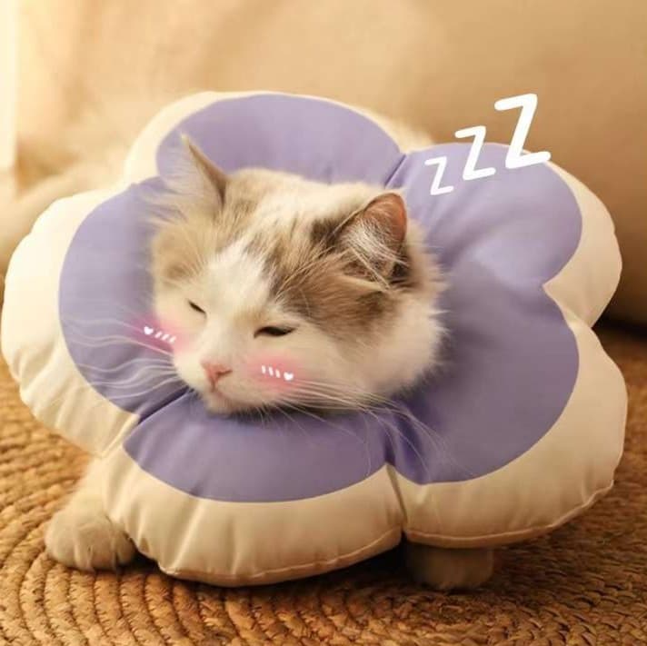 猫服 猫 エリザベスカラー | ぷかぷか寛ぎエリザベスカラー