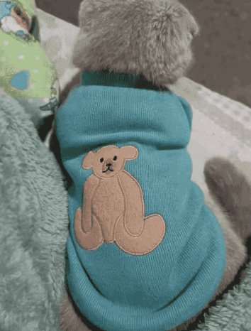猫服 くま刺繍入りニット長袖猫用防寒着
