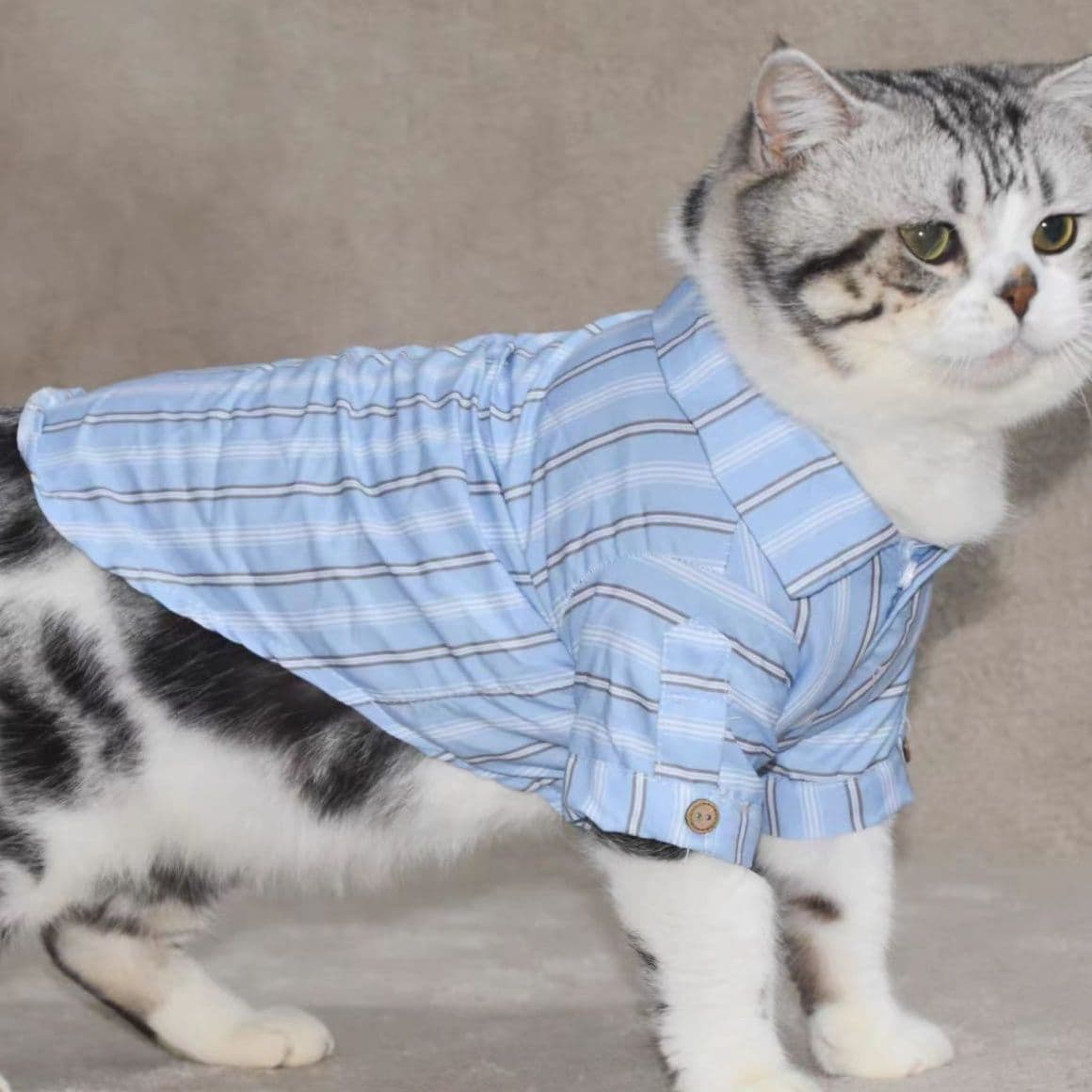 猫服 猫用紳士風ストライプ柄ビジネスシャツ