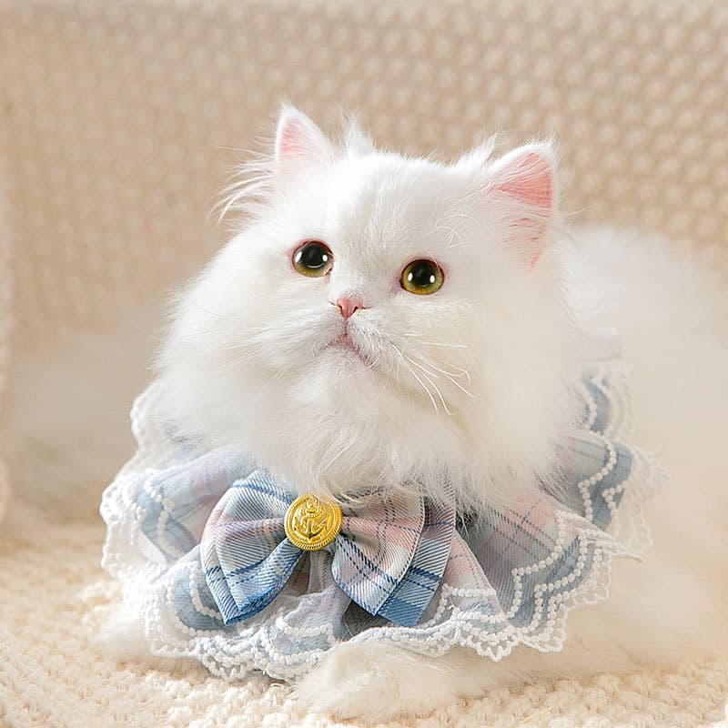 猫服 ふんわりレース付き姫様首輪