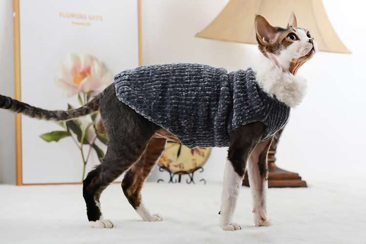 猫服 スフィンクス | ふわもこスフィンクスの防寒ニット