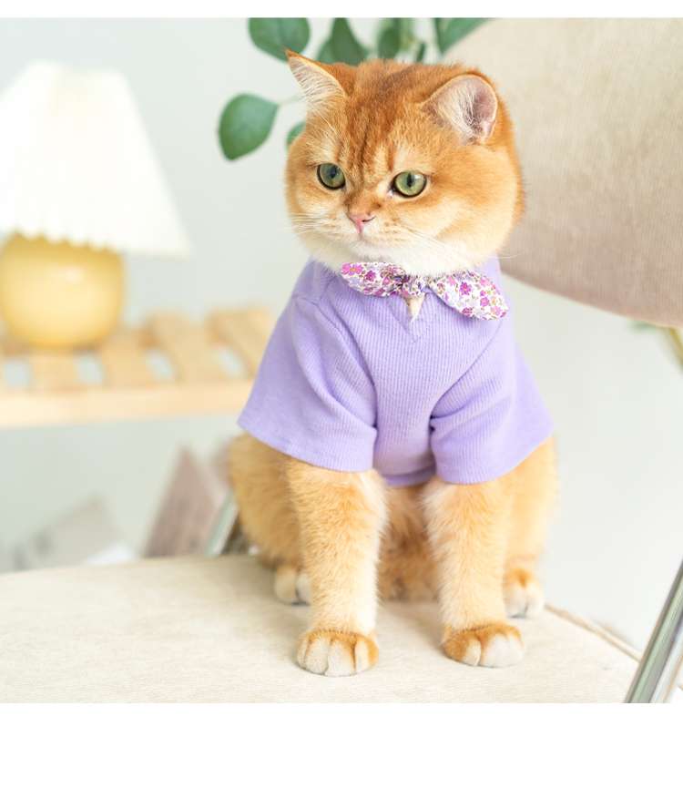 猫服 防寒服 | ふわもこ猫ちゃんのおしゃれセーター