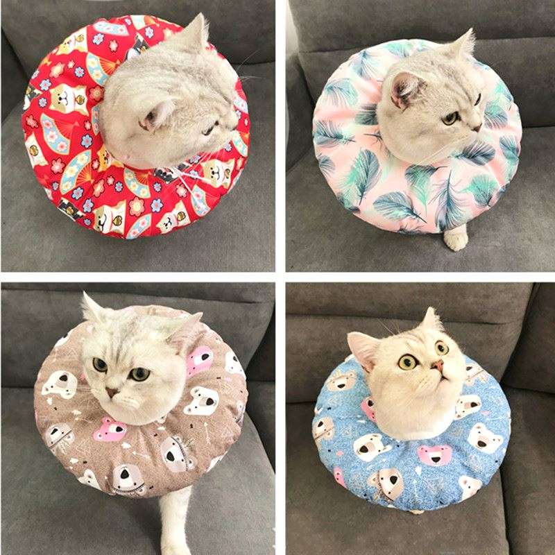 猫服 猫 エリザベスカラー | ふわもこペット用エリザベスカラー