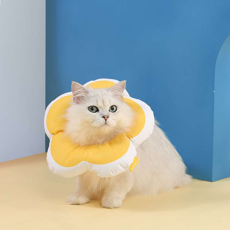 猫服 猫 エリザベスカラー | お花型ふわもこエリザベスカラー