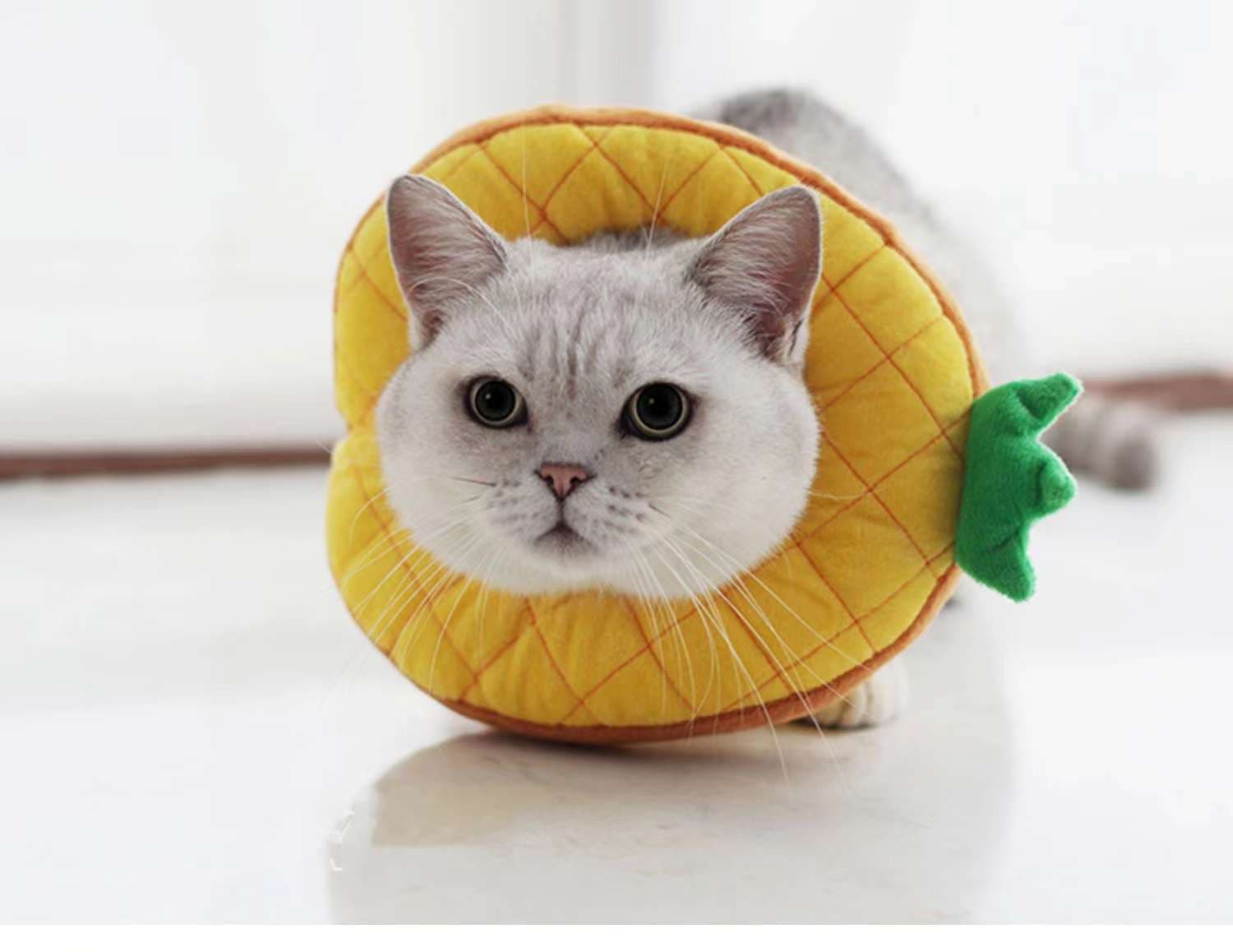 猫服 猫 エリザベスカラー | かわいい動物型メッシュエリザベスカラー