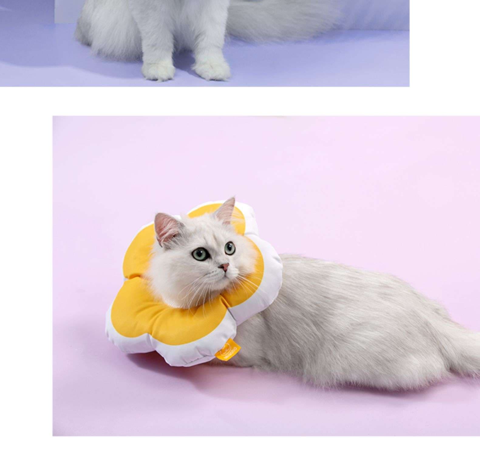 猫服 猫 エリザベスカラー | お花型ふわもこエリザベスカラー