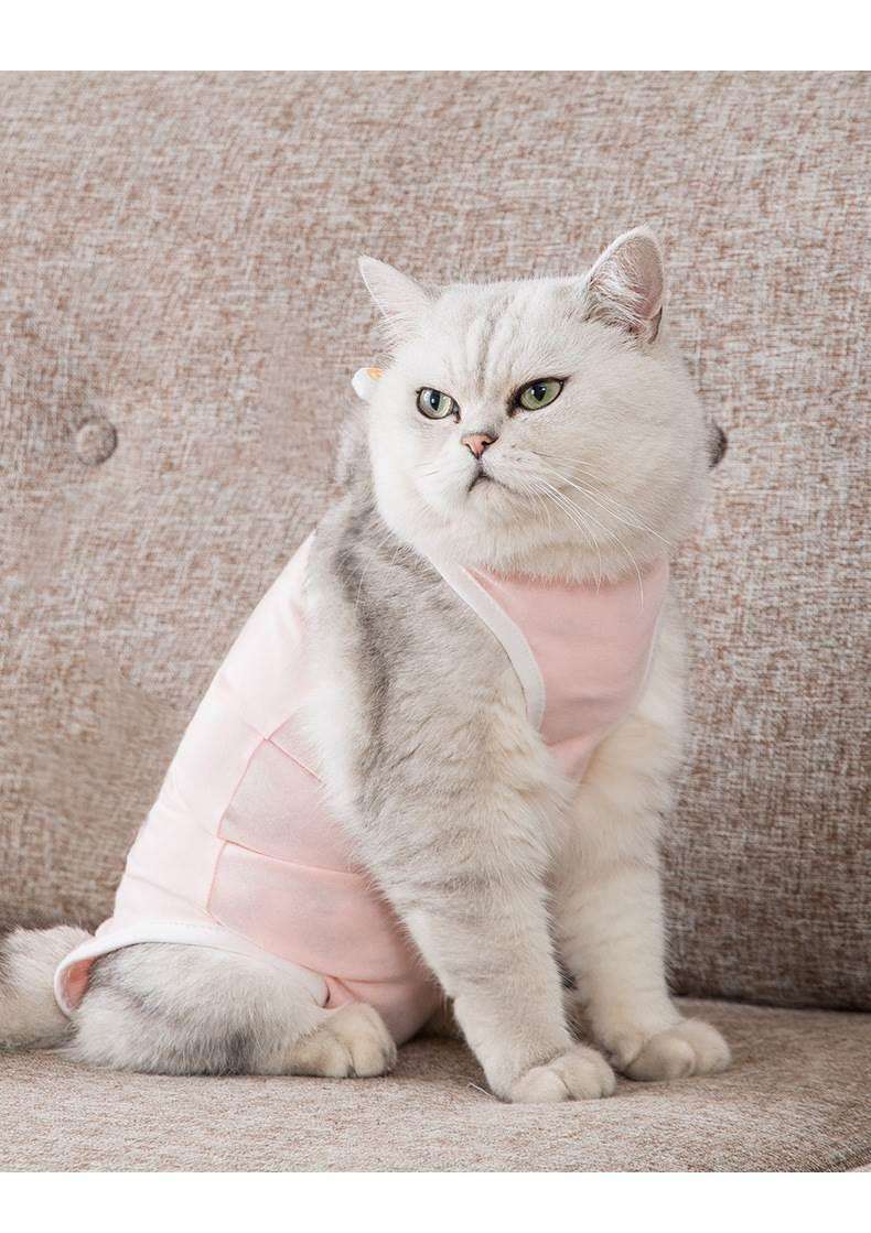 猫服 防寒服 | もこもこ猫ちゃんの防寒プリンセスウェア