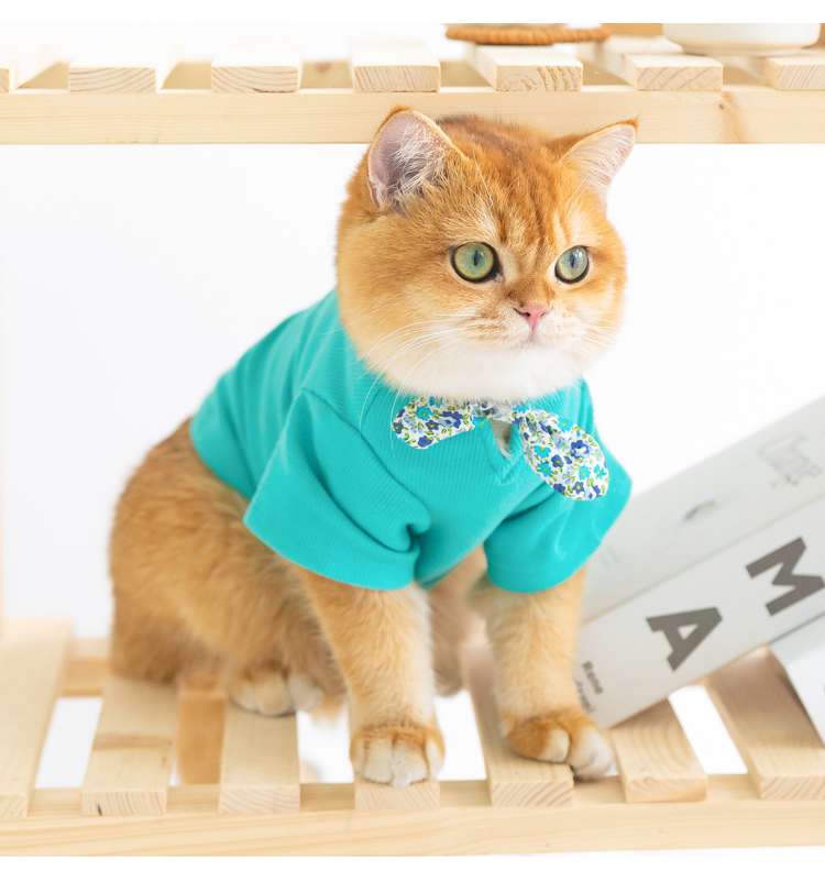 猫服 防寒服 | ふわもこ猫ちゃんのおしゃれセーター