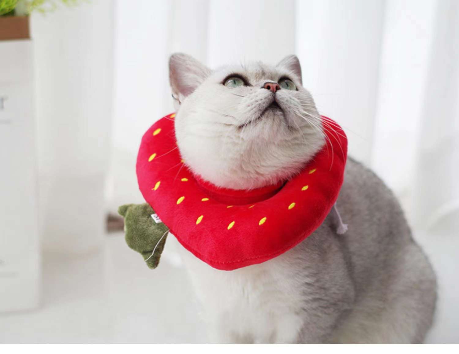 猫服 猫 エリザベスカラー | かわいい動物型メッシュエリザベスカラー