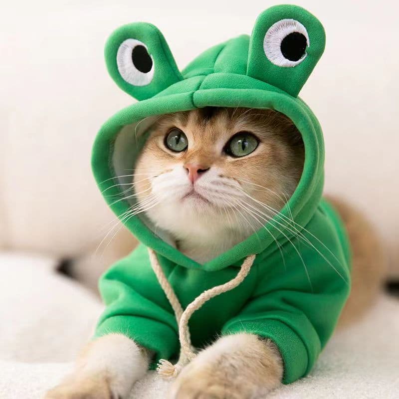 猫服 かえるさんなりきりパーカー
