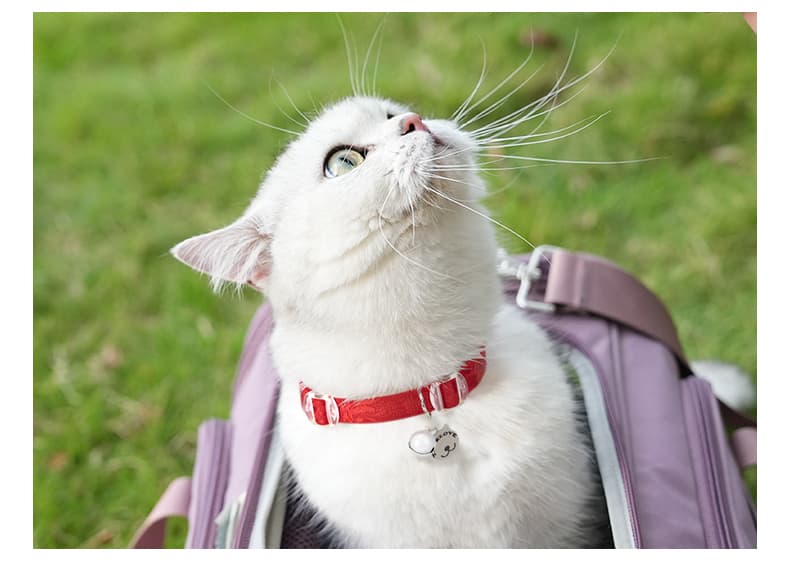 猫服 シンプル安心首輪