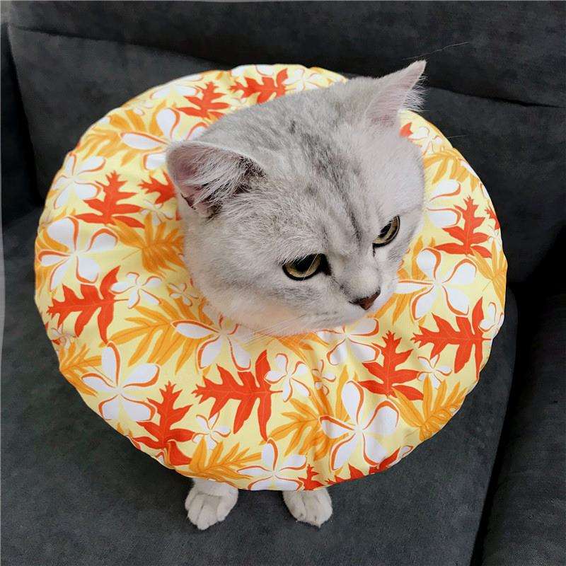 猫服 猫 エリザベスカラー | ふわもこペット用エリザベスカラー