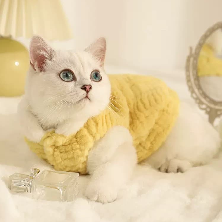 猫服 ふわもこケーブル編み猫用防寒着