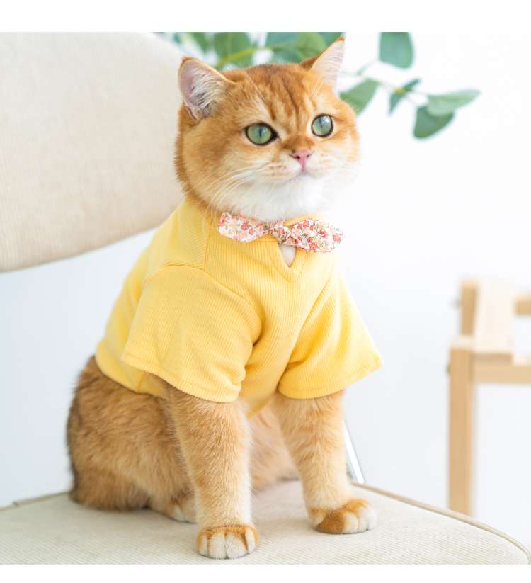 猫服 防寒服 | ふわもこ猫ちゃんのおしゃれセーター