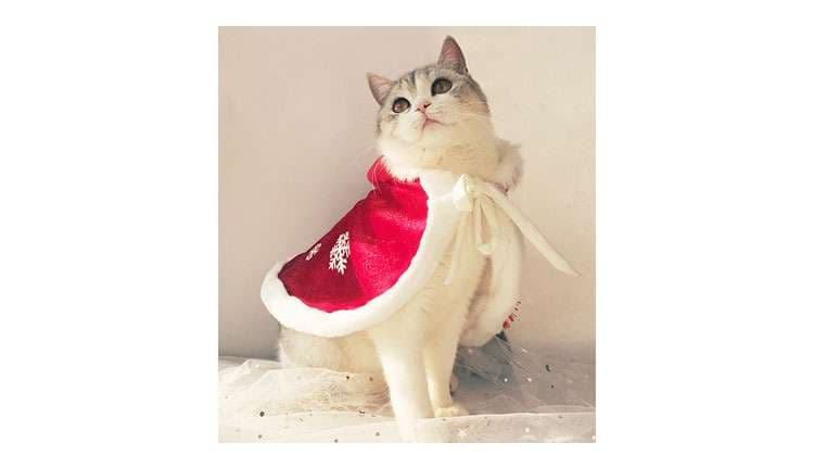 猫服 コスプレ | もふもふサンタクロース猫コスチューム