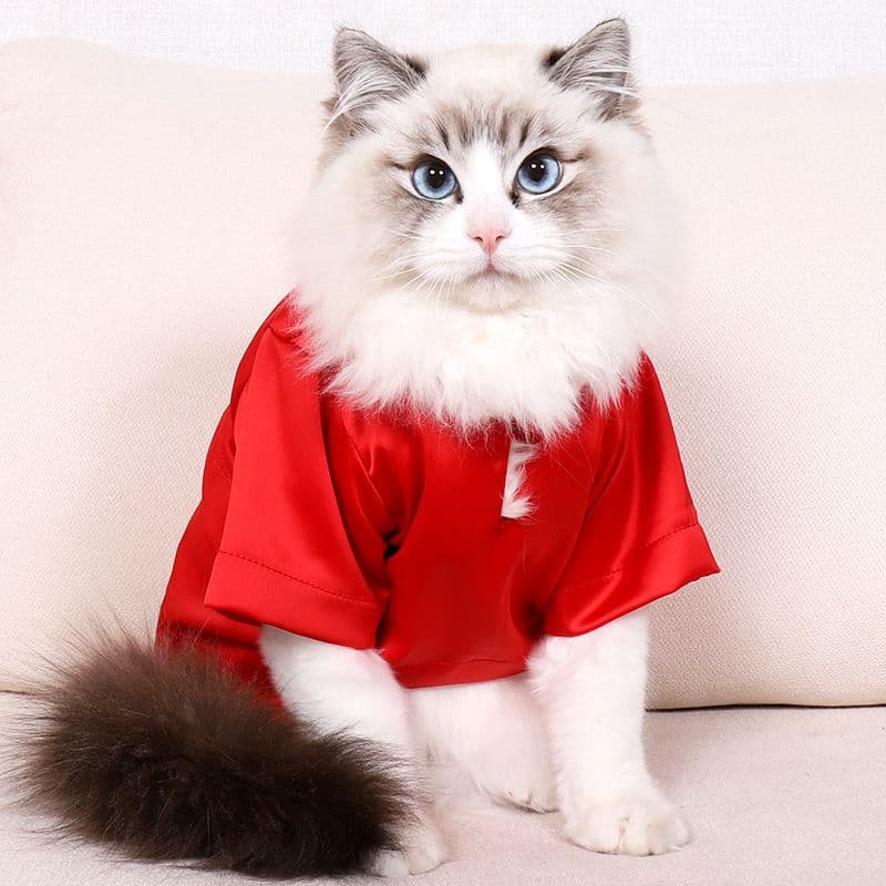 猫服 ふんわりきもち猫用パーカー