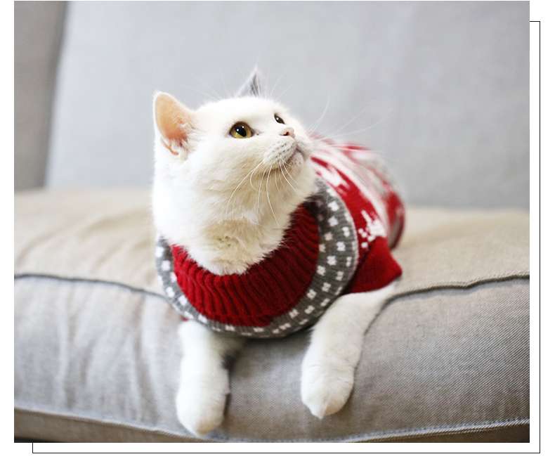 猫服 防寒服 | ペット用クリスマスセーター