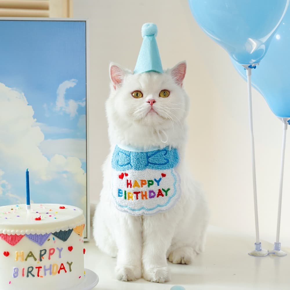 猫服 お誕生日お祝い猫ちゃん帽子セット