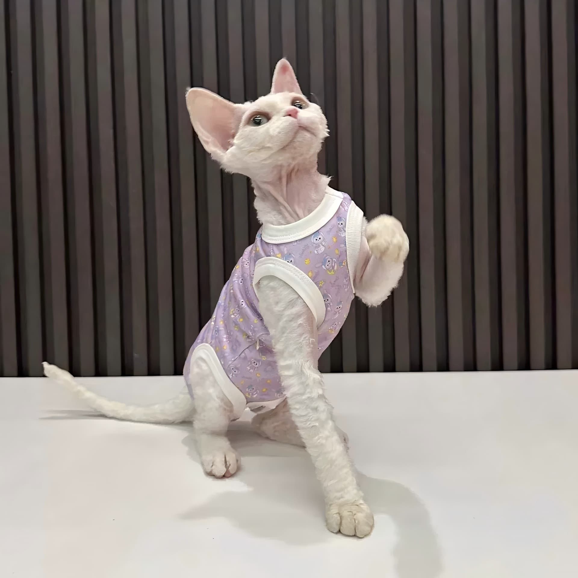 猫服洋服 子猫とお花の総柄袖なしタンクトップ