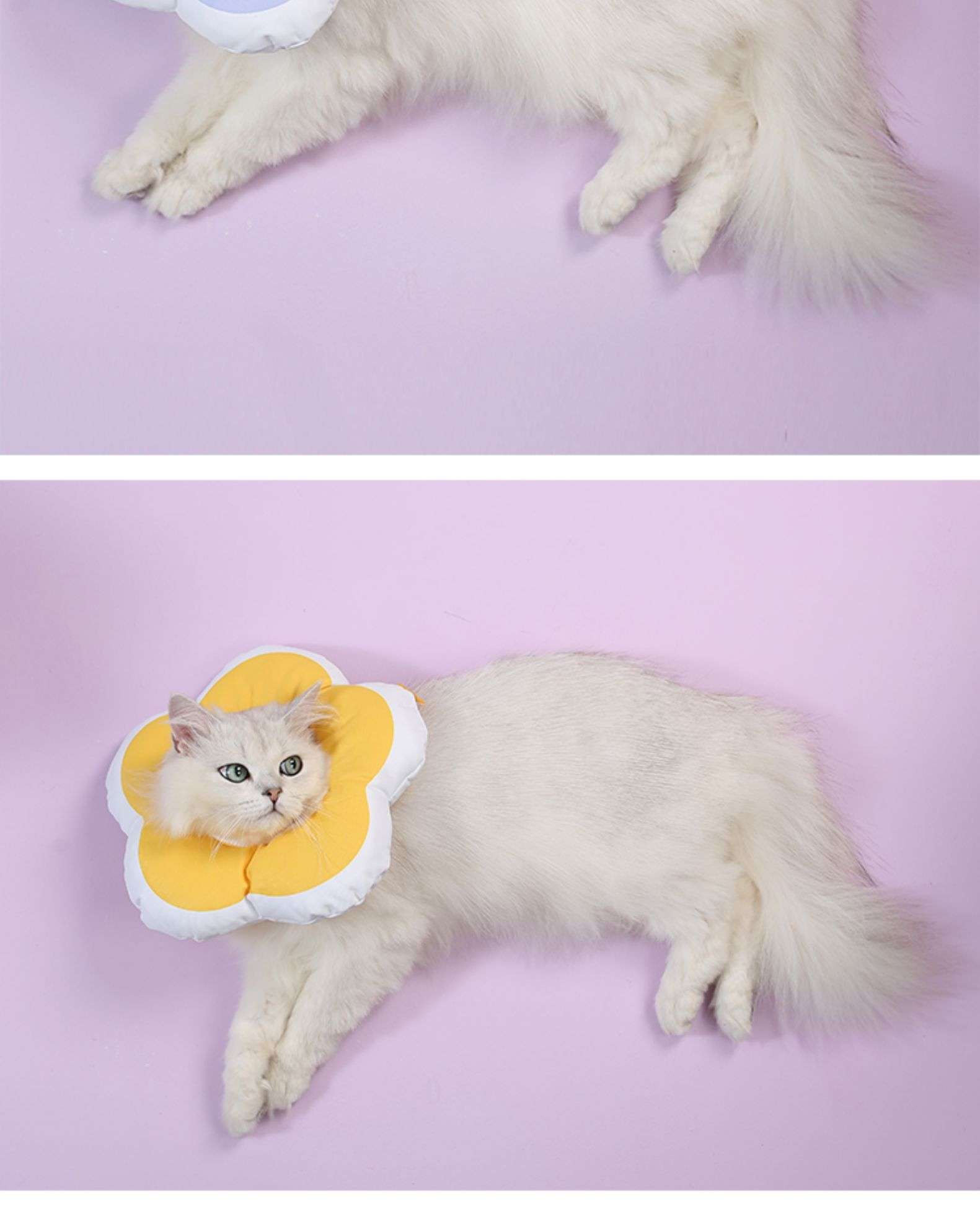 猫服 猫 エリザベスカラー | お花型ふわもこエリザベスカラー