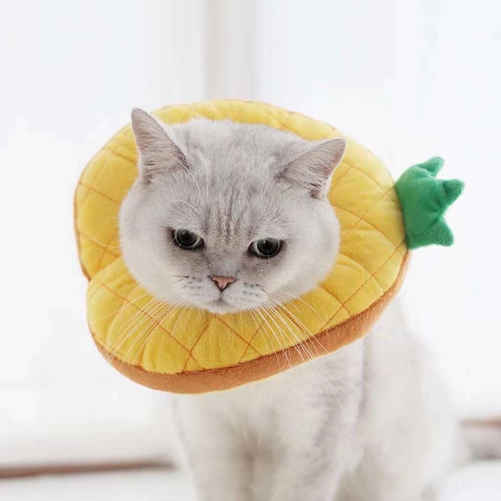 猫服 猫 エリザベスカラー | かわいい動物型メッシュエリザベスカラー