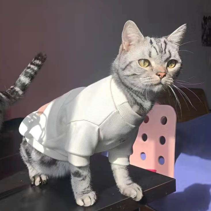 猫服 くま刺繍入りニット長袖猫用防寒着