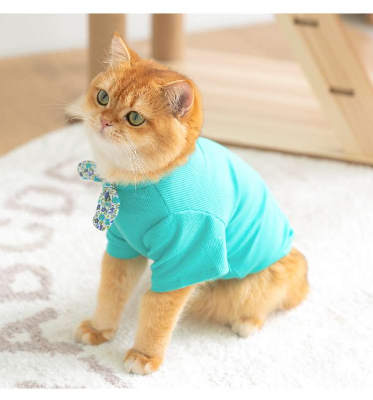 猫服 防寒服 | ふわもこ猫ちゃんのおしゃれセーター