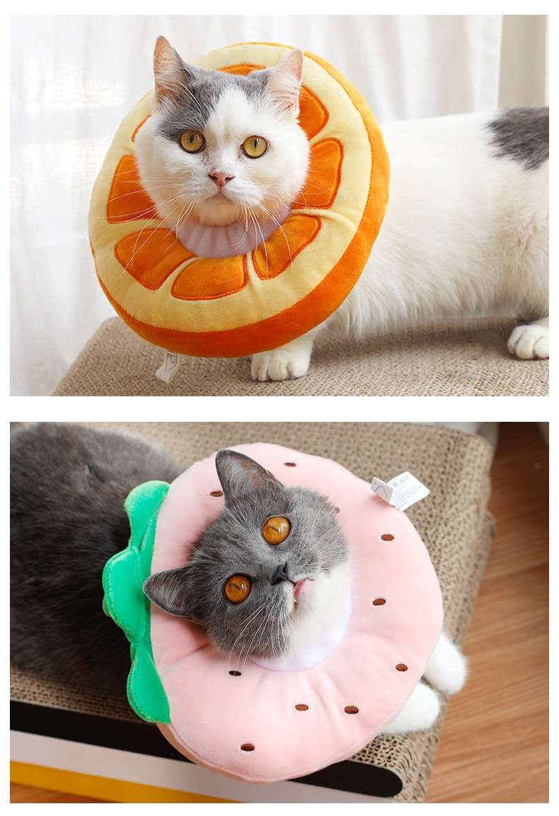 猫服 猫 エリザベスカラー | フルーツ猫カラー 癒しのトロピカルコレクション
