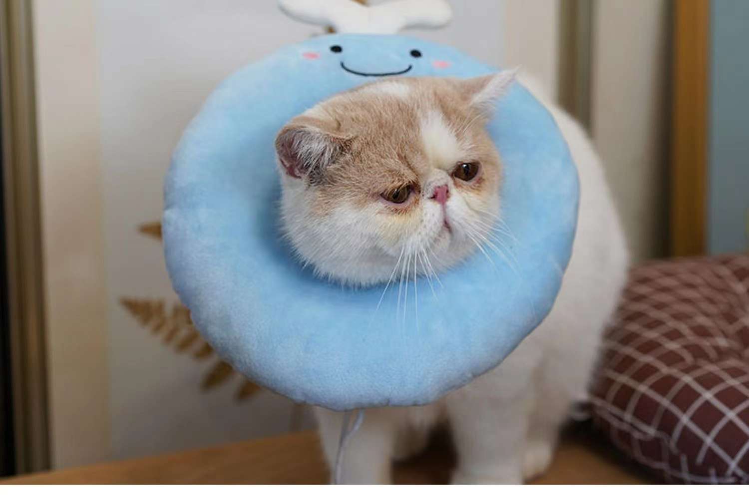 猫服 猫 エリザベスカラー | かわいい動物型メッシュエリザベスカラー