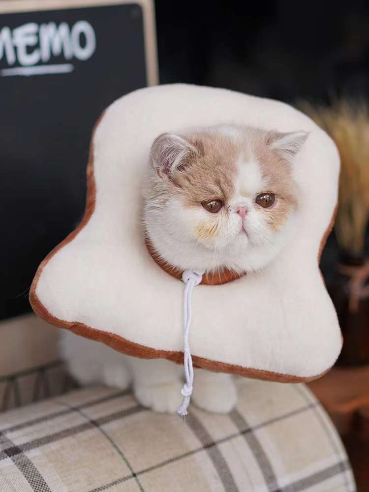 猫服 猫 エリザベスカラー | かわいい動物型メッシュエリザベスカラー